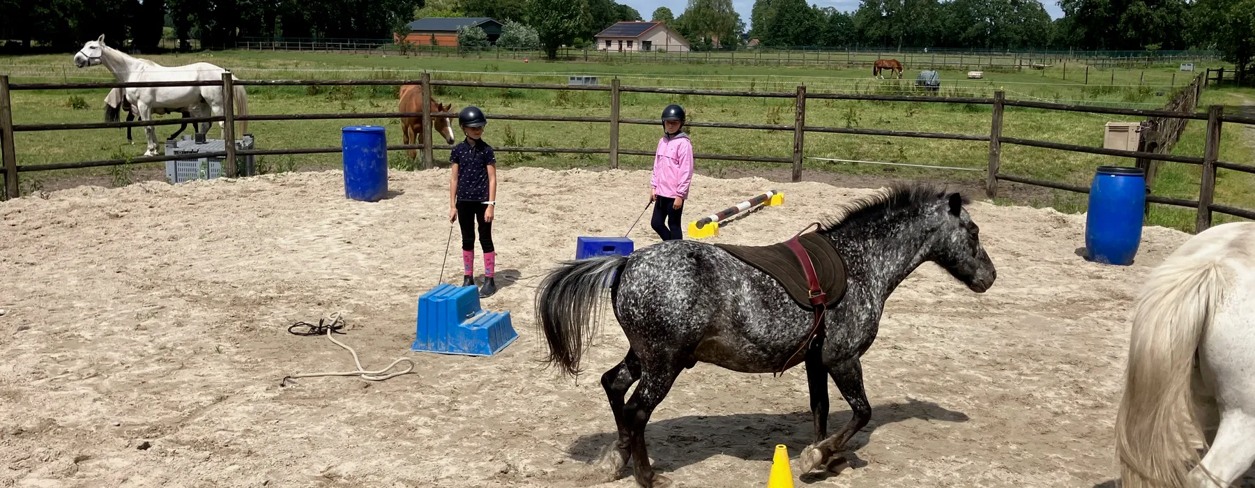 Kinderen spelen in vrijheid met de pony in de piste