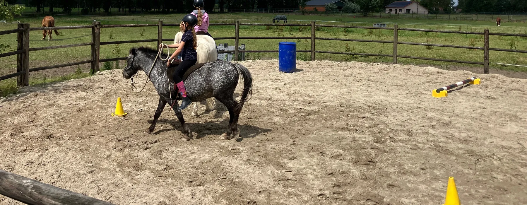 Rijles in de piste bij Natuurlijk Paardrijden