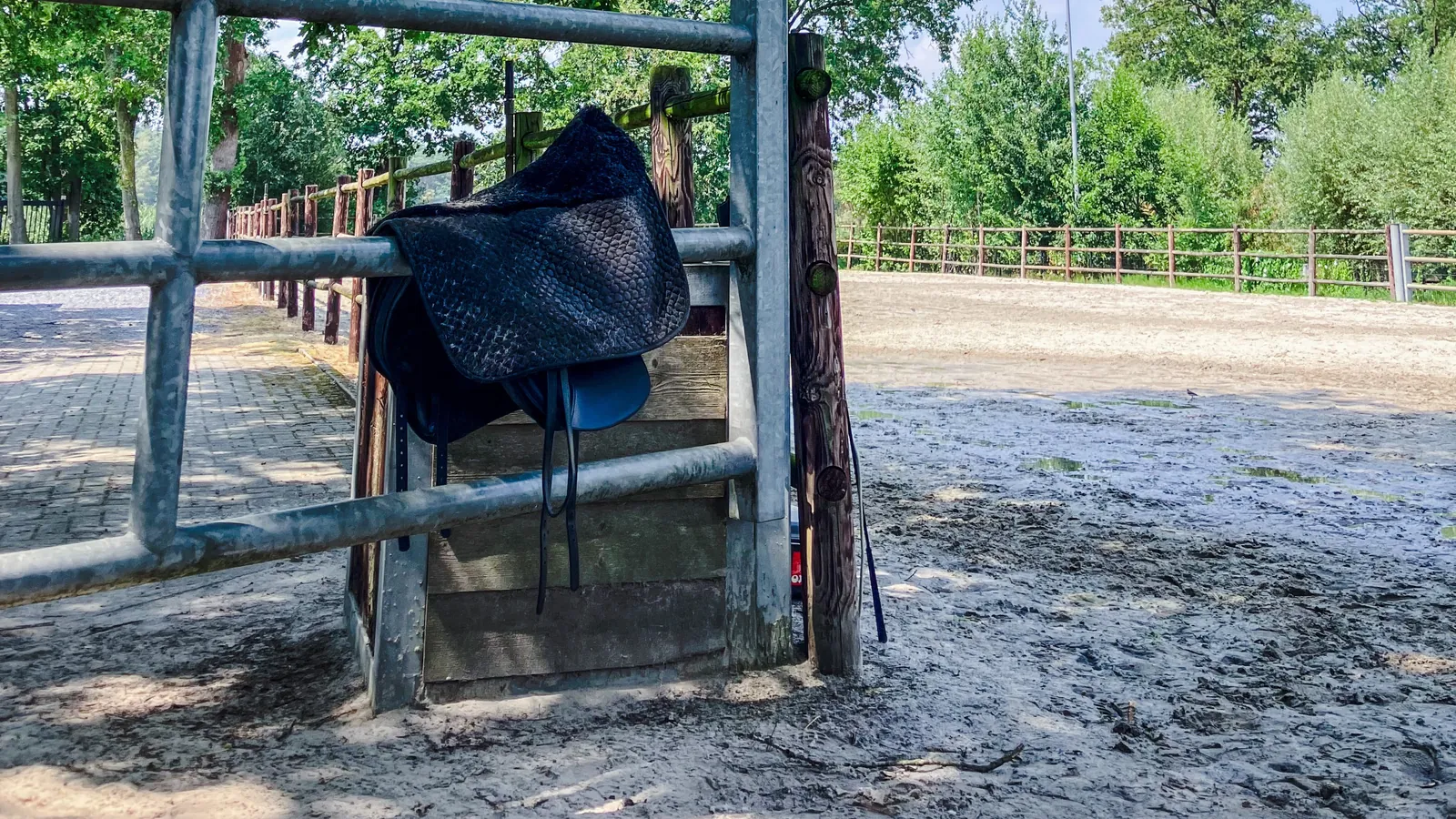 De paardenweide met beschutting, bomen en natuurlijke ondergrond