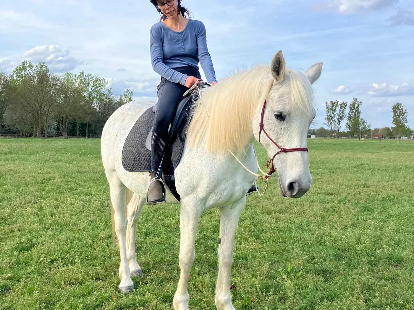 Training met je eigen paard op locatie
