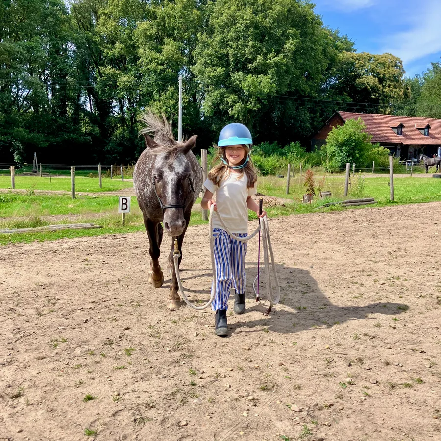 Kind wandelt met de pony tijdens het grondwerk