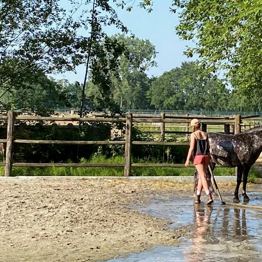 Samen de pony verzorgen na de les