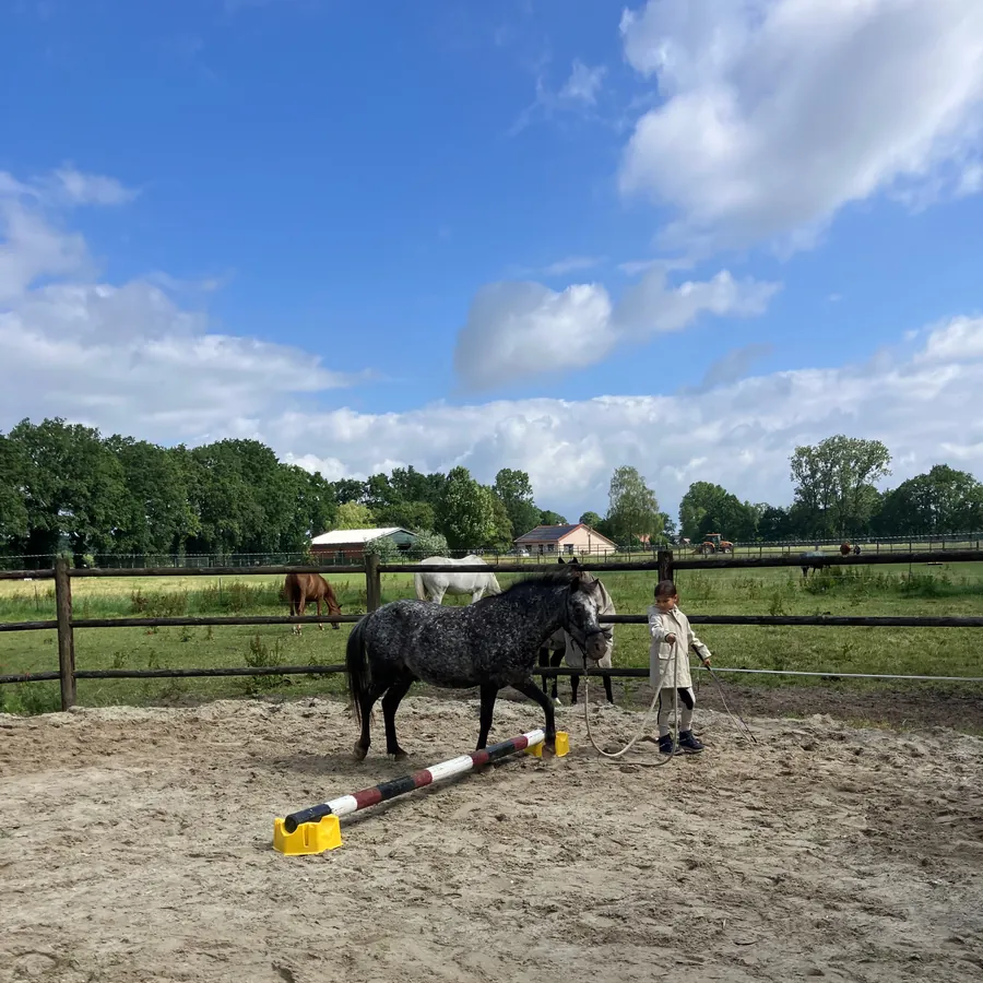 Grondwerk met de pony in de buitenpiste