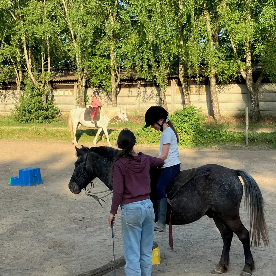 Pien begeleidt een jonge ruiter naast de pony