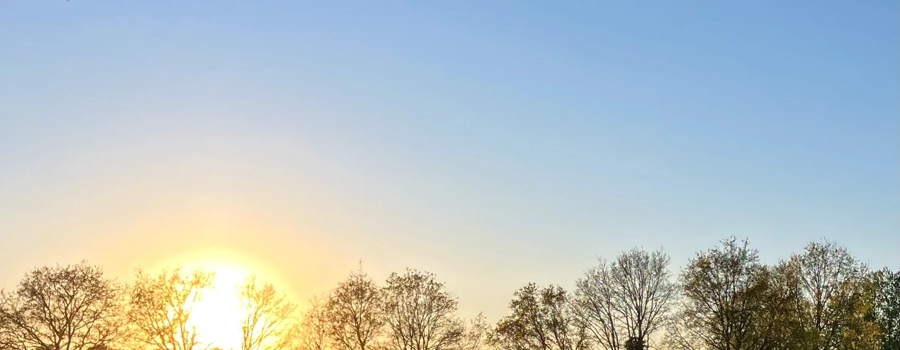 Sfeerbeeld van de lessen bij Natuurlijk Paardrijden