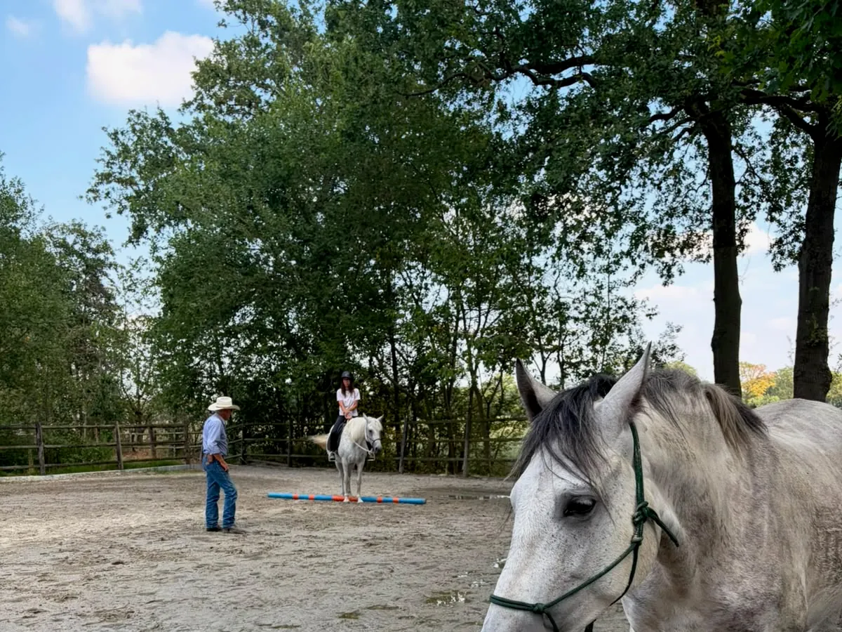 Team Limburg: Parelli studenten samen op pad met hun paarden